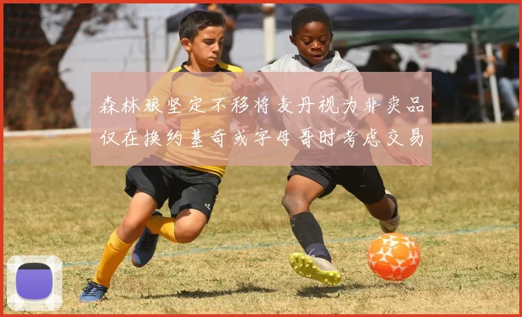 森林狼坚定不移将麦丹视为非卖品仅在换约基奇或字母哥时考虑交易